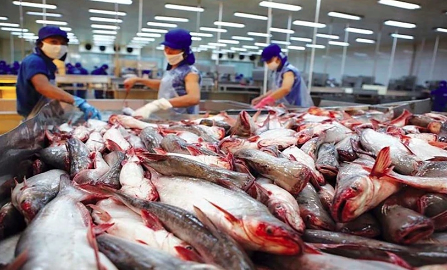 tra fish export to cptpp market reaches us 114 mln as of june 15 picture 1
