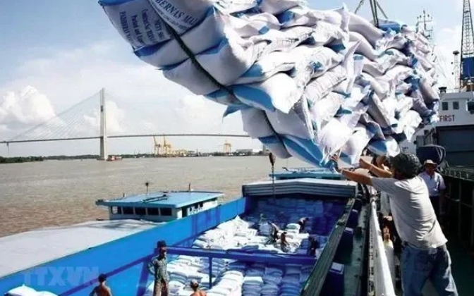 rice exports to set record turnover of us 5 billion in 2024 picture 1