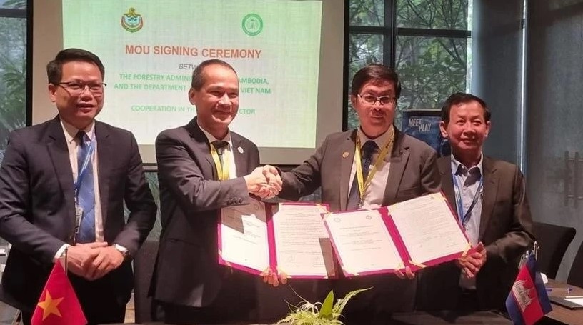 vietnam, cambodia boost forestry cooperation picture 1