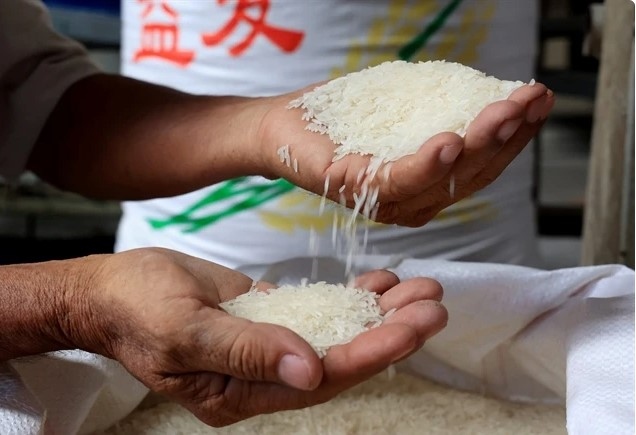 vietnam s rice exports expected to have positive result in h2 picture 1
