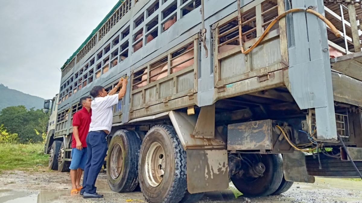 Đồng Nai yêu cầu doanh nghiệp FDI không thuê cơ sở chăn nuôi chưa có giấy phép