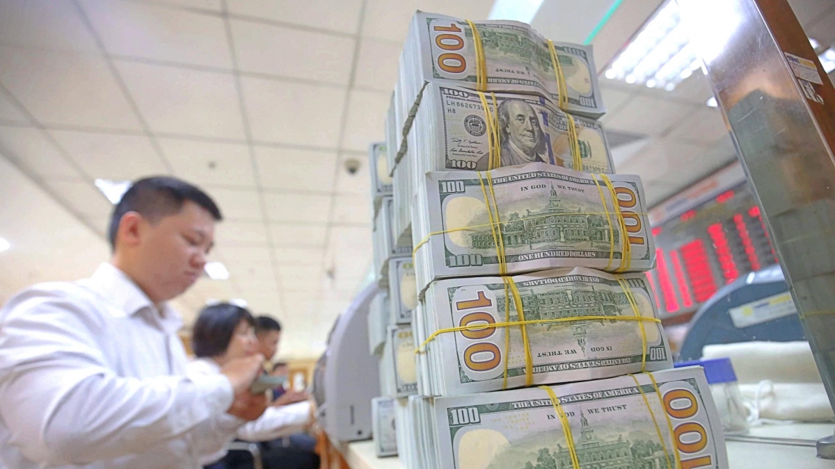 Tỷ giá USD hôm nay 19/7: Tỷ giá trung tâm lùi về 24.246 đồng/USD