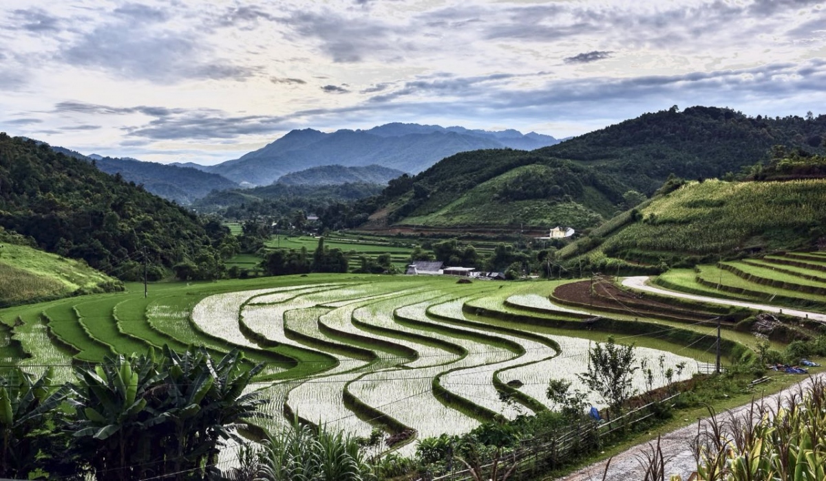 tet khoan vai - goi via trau cua nguoi tay - nung hinh anh 1