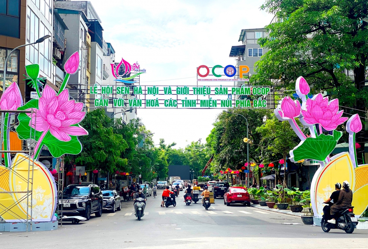 hanoi ready to host first ever lotus festival picture 1