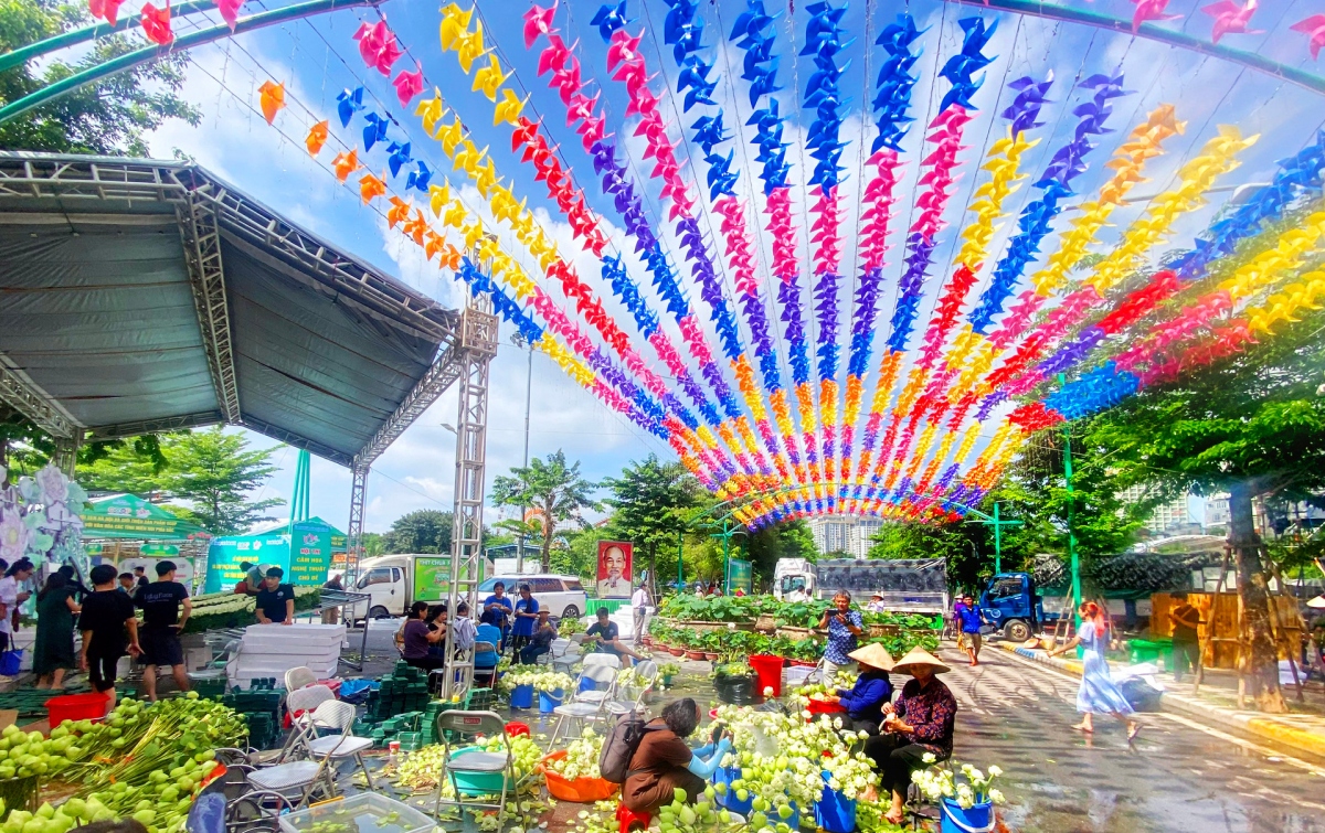 hanoi ready to host first ever lotus festival picture 9