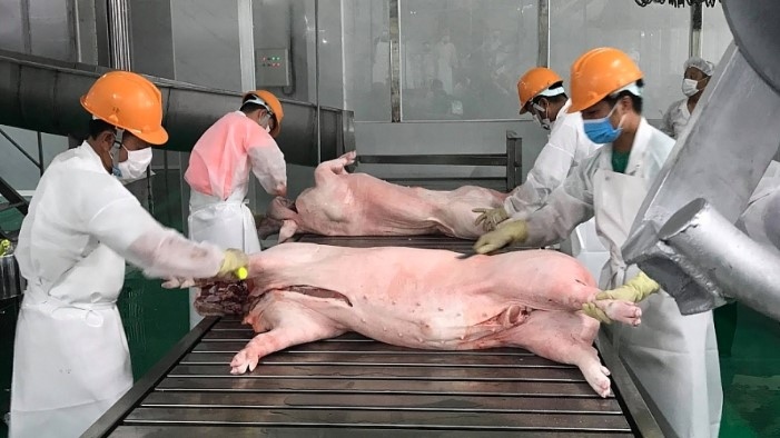 vietnamese meat exports record third consecutive monthly rise picture 1