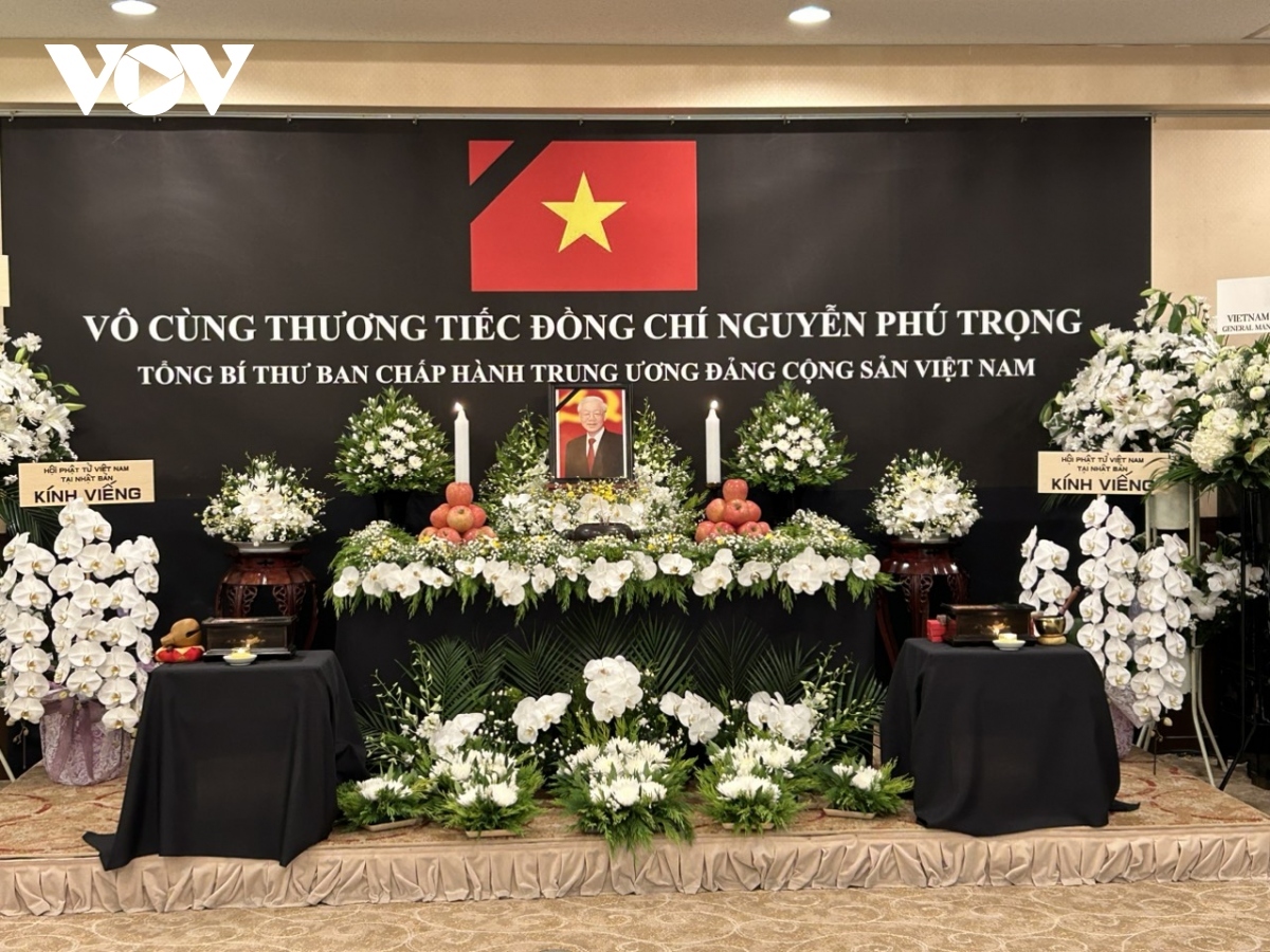 vietnamese embassies hold tribute-paying ceremonies for party chief picture 1