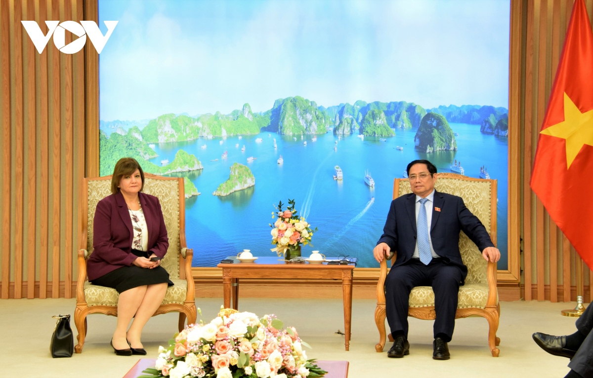 ambassador confident of stronger relations between egypt and vietnam picture 2