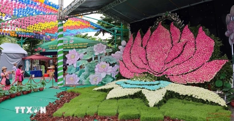 success of hanoi lotus festival opens up new prospects for capital s tourism picture 1