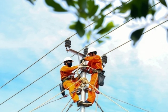 EVN reports record loss despite electricity price increases