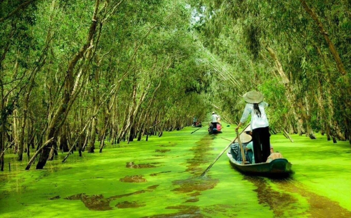  con kenh xanh xanh - nhac pham khang chien bat hu cua nhac si ngo huynh hinh anh 1