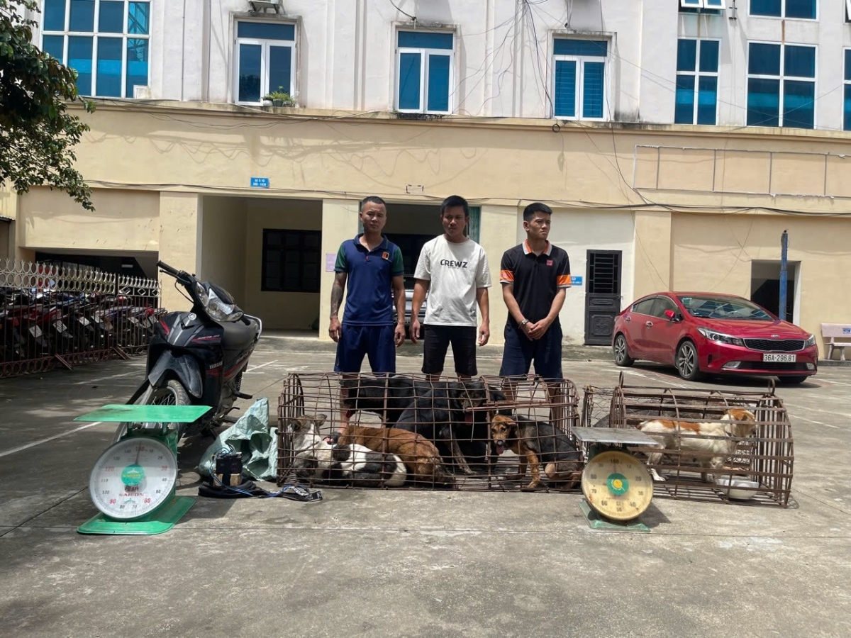 Bắt giữ 3 đối tượng trong ổ nhóm chuyên trộm cắp chó ở Thanh Hóa