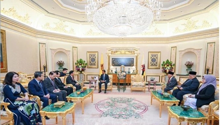 na vice chairman meets with sultan, speaker of legislative council of brunei picture 1