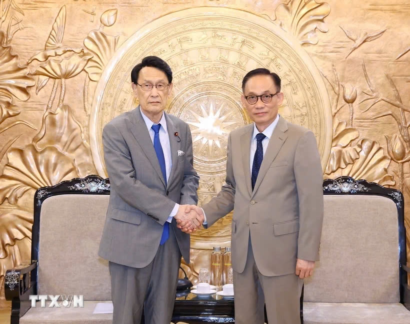 vietnam attaches importance to comprehensive strategic partnership with japan picture 1