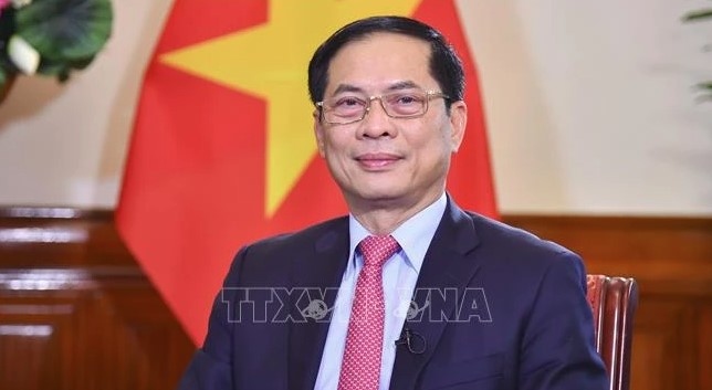 deputy pm highlights vietnam s 79-year diplomatic achievements picture 1