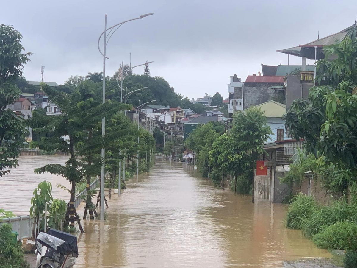 hon 200 ngoi nha cung gan 900ha cay trong tai cao bang bi anh huong do mua lu hinh anh 6