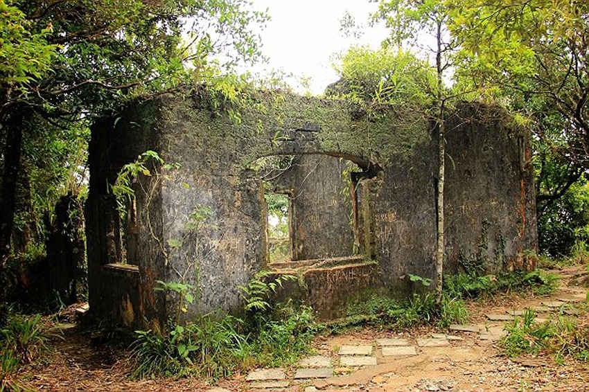 tuong lai Da nang nhin tu mui nhon du lich hinh anh 1