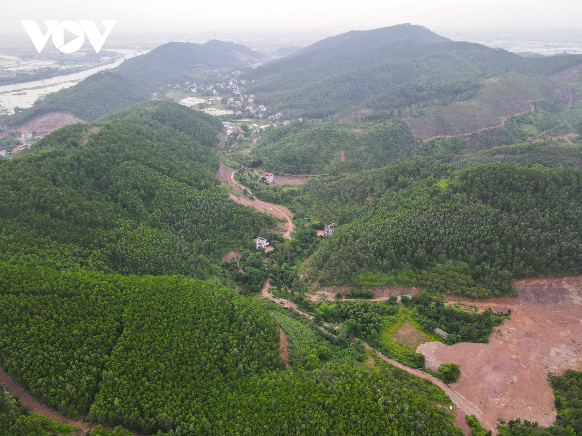 bac giang trien khai du an dieu tra rung hinh anh 1