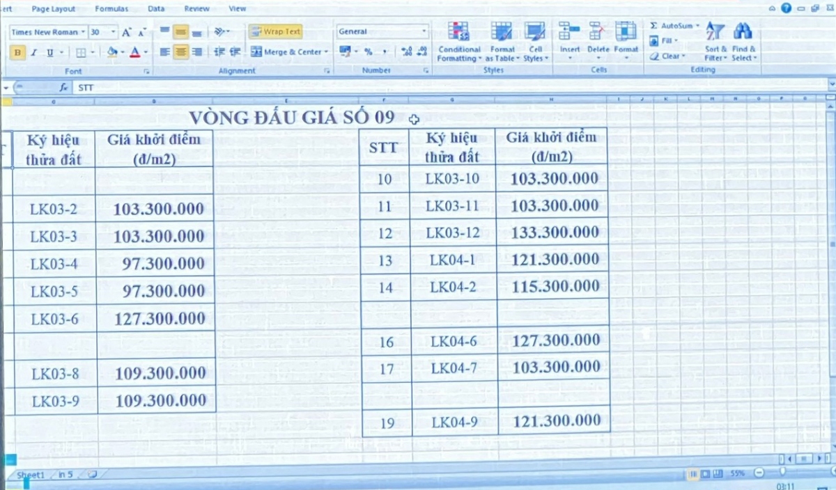 Dat gap 18,2 lan khoi diem voi gia cao nhat 133 trieu dong m2, nguoi dan dau gia dat xuyen dem hinh anh 2