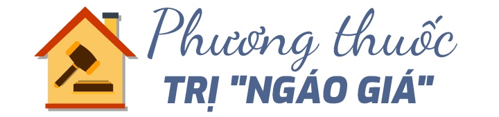 giac mo mua nha ha noi thoi ngao gia hinh anh 14