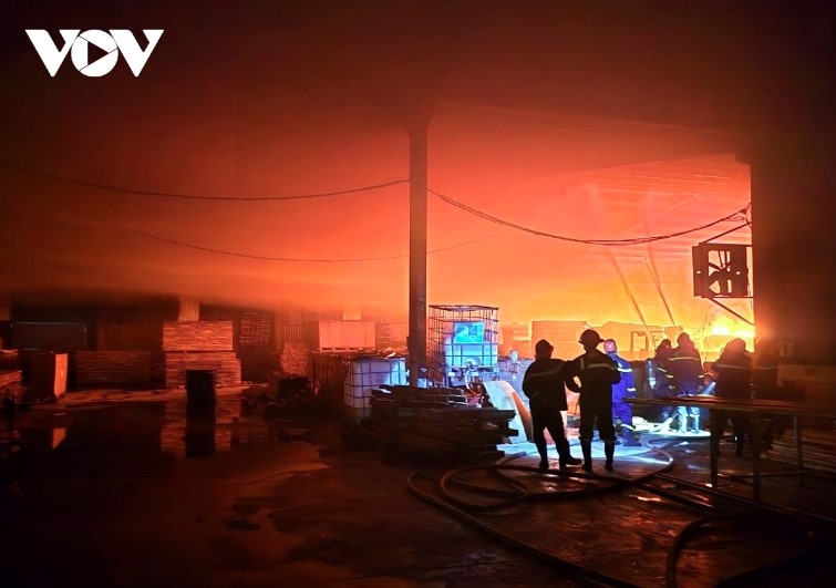 Fire at wood company in Quy Nhon causes severe financial damage