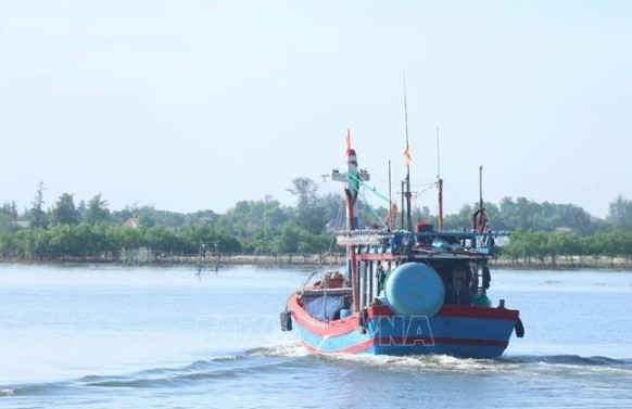 quang tri intensifies measures to combat nearshore fishing violations picture 1