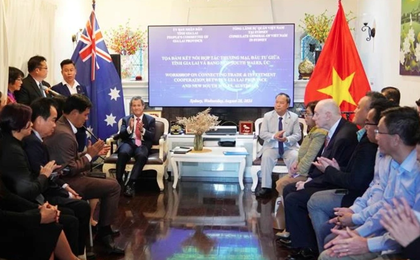 gia lai, australia s new south wales state promote trade, investment cooperation picture 1