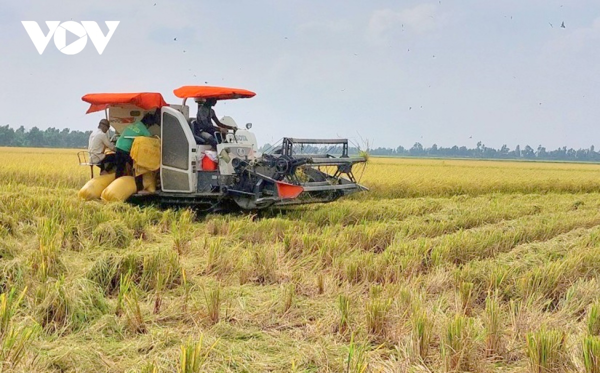 vietnam and japan boost agriculture cooperation picture 1