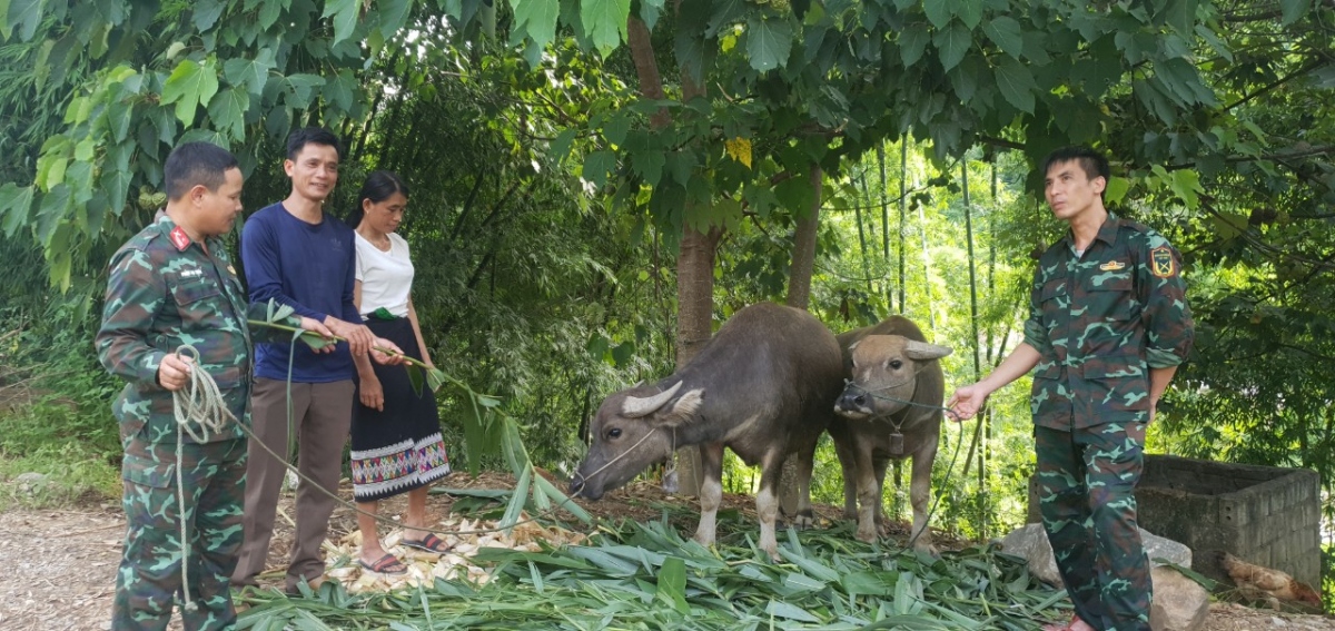 dau an luc luong vu trang quan khu 4 trong long dan hinh anh 3