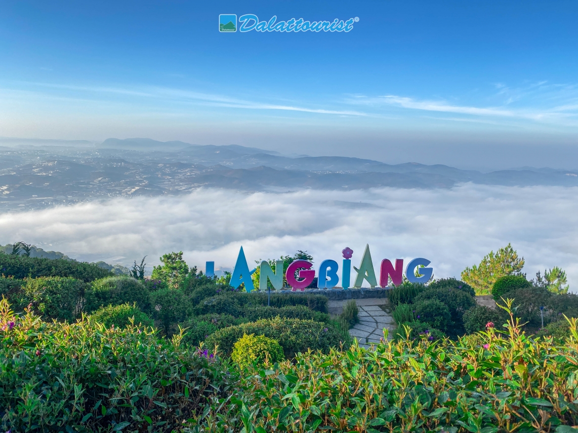 dalattourist mung quoc khanh 2 9 voi uu dai dac biet cho du khach den Da lat hinh anh 1