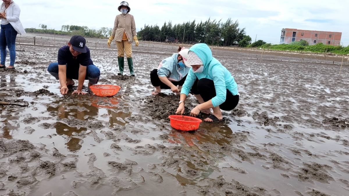 tien giang kien nghi hop kiem diem, rut kinh nghiem 15 can bo huyen go cong Dong hinh anh 2