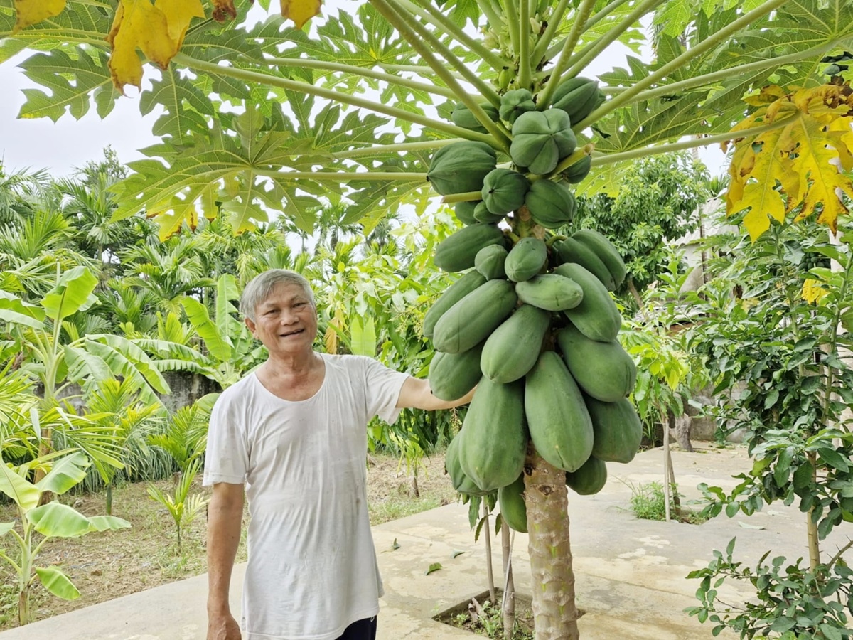 Xây dựng vườn mẫu, bước tiến trong xây dựng nông thôn mới tại Quảng Nam