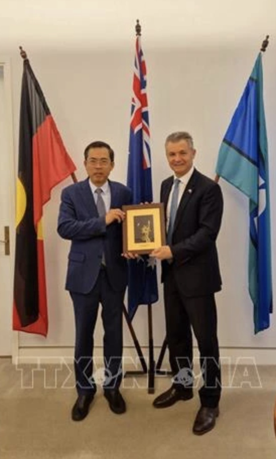 australian official highlights development momentum of vietnam-australia relations picture 1