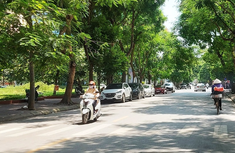 thoi tiet hom nay 1 9 ha noi ngay nang, chieu toi co mua rao va dong hinh anh 1