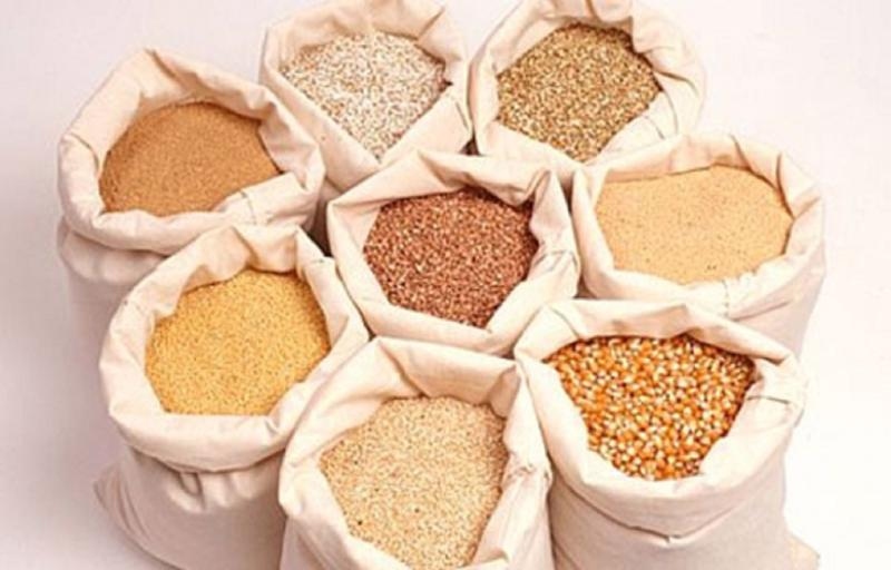 china emerges as largest importer of vietnamese animal feed and raw materials picture 1