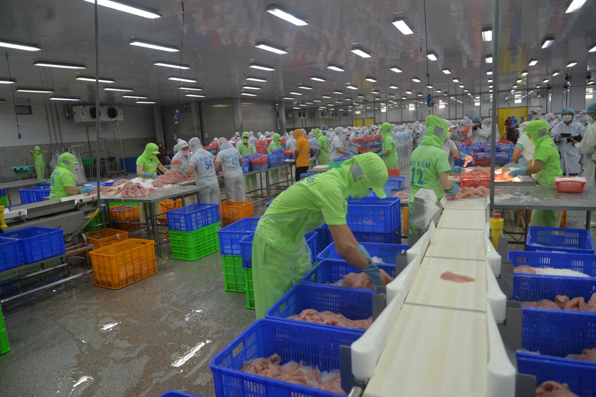 Vì sao nông sản vùng ĐBSCL phải phụ thuộc vào TP.HCM để xuất khẩu