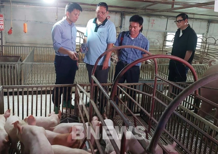 Philippines to import 150,000 doses of African swine fever vaccine from Vietnam