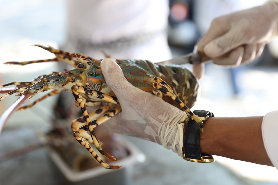 120 dishes made from cam ranh lobster set vietnamese record picture 2