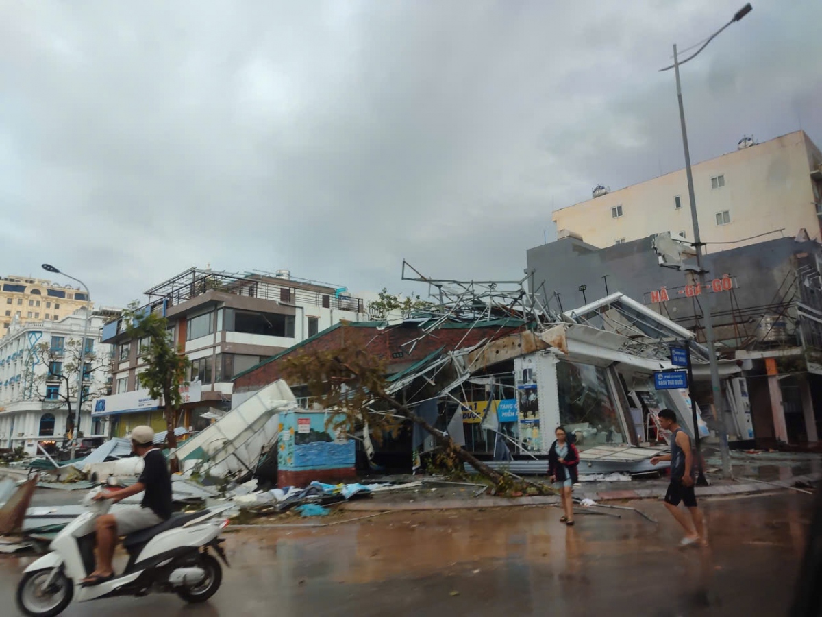 cay do la liet khap pho, ha noi va cac dia phuong khan truong thu don hinh anh 42