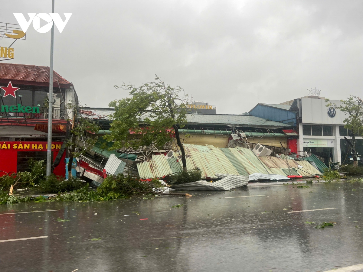 quang ninh devastated as yagi makes landfall picture 1