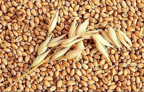 vietnam spends over us 1 billion importing wheat in eight months picture 1