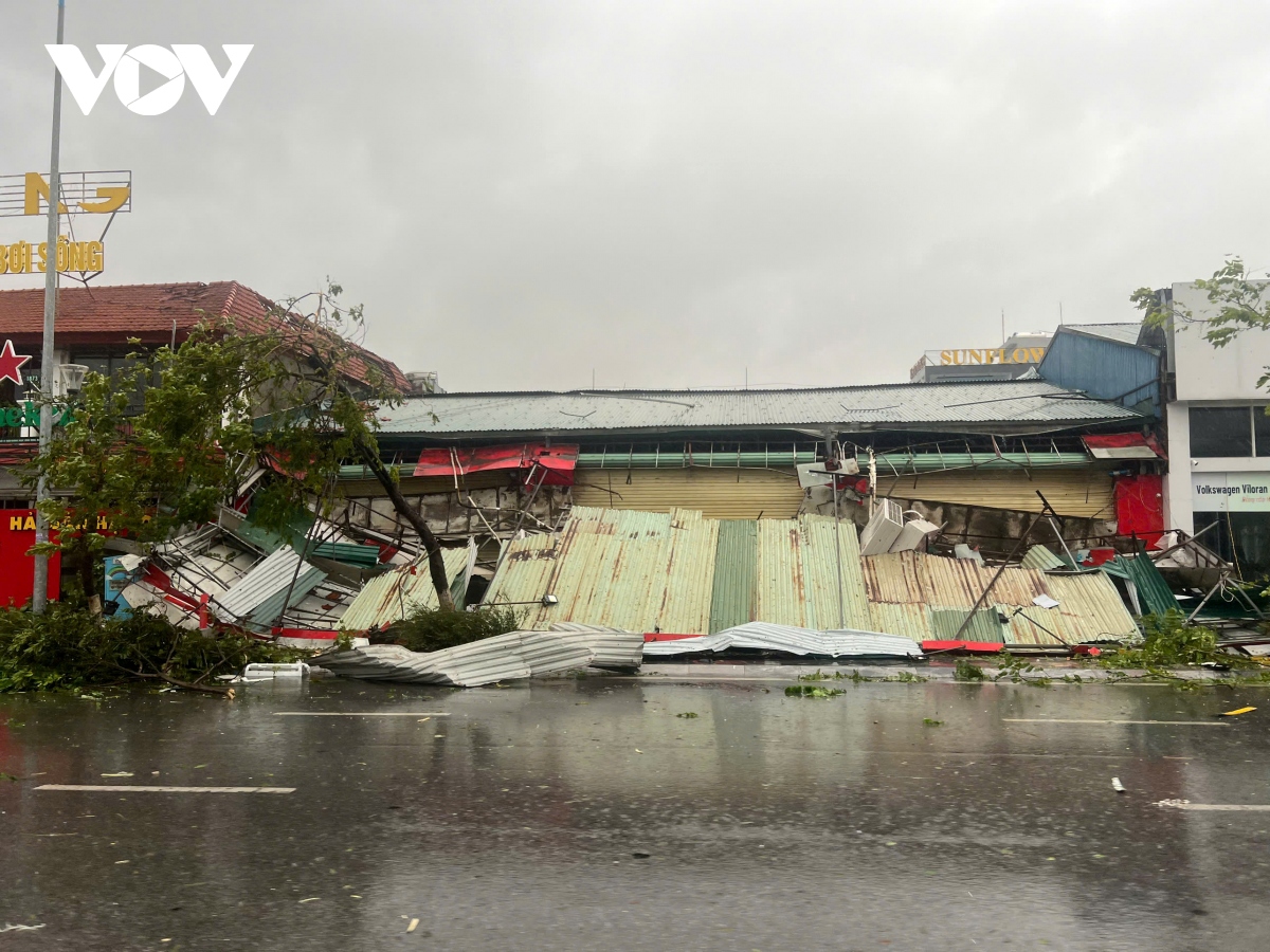 quang ninh devastated as yagi makes landfall picture 2