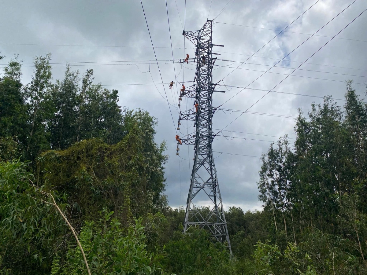 evnspc thong tin ve su co chay tram bien ap 220kv cai lay hinh anh 1