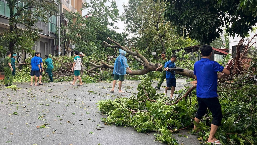 bac ninh phat hien doi tuong khai thac trai phep cay do do bao so 3 hinh anh 2