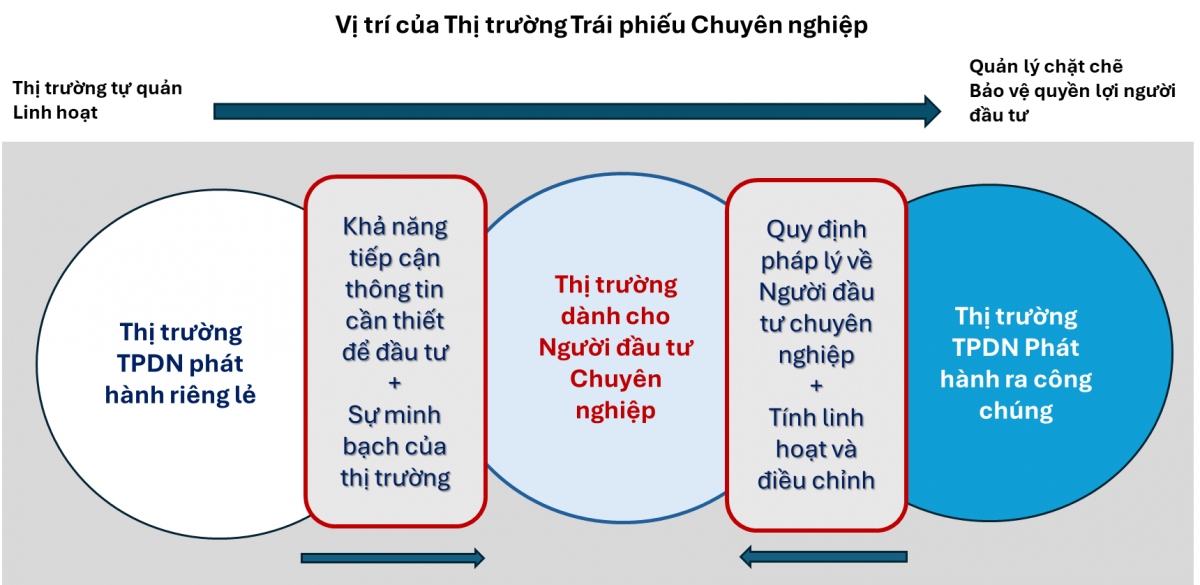 trai phieu doanh nghiep rieng le chi nen la san choi cua nguoi chuyen nghiep hinh anh 3