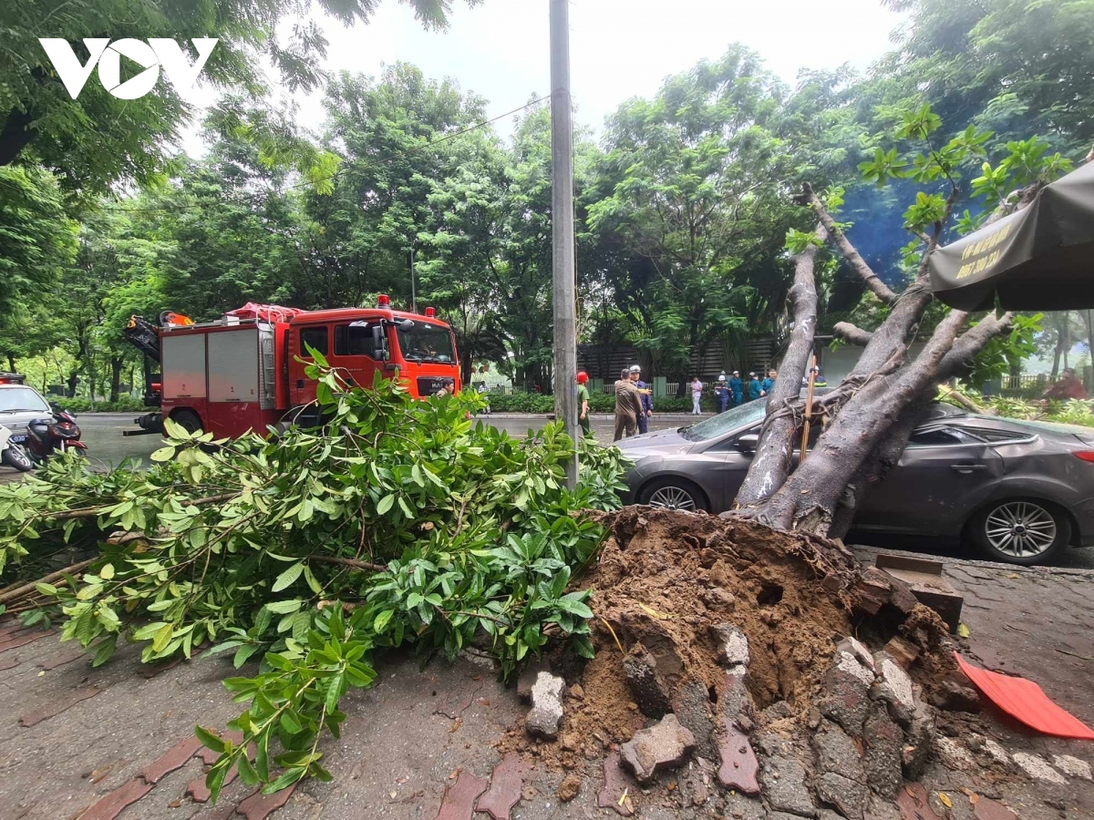 khong nen do xe o to o nhung khu vuc sau day khi mua bao hinh anh 2