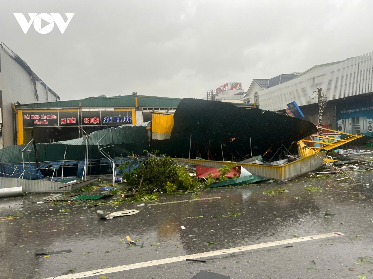 quang ninh devastated as yagi makes landfall picture 4