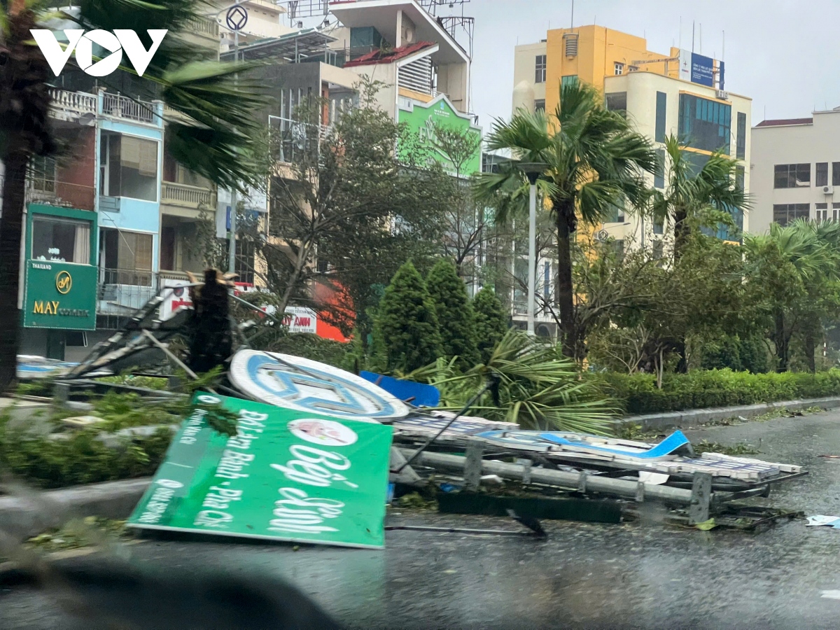 quang ninh devastated as yagi makes landfall picture 5