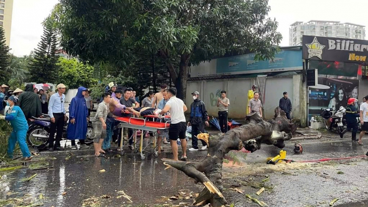 Anh huong bao so 3, ha noi co 1 nguoi tu vong, 6 nguoi bi thuong do cay do hinh anh 1