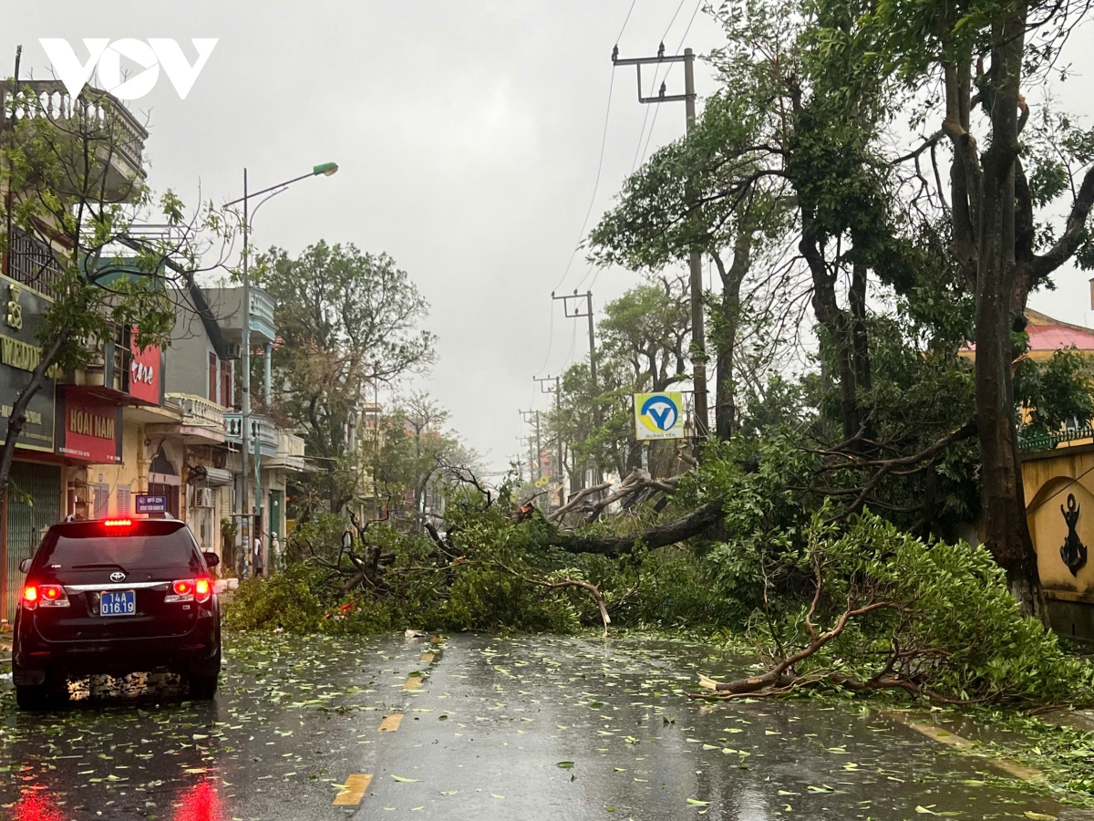 quang ninh devastated as yagi makes landfall picture 7